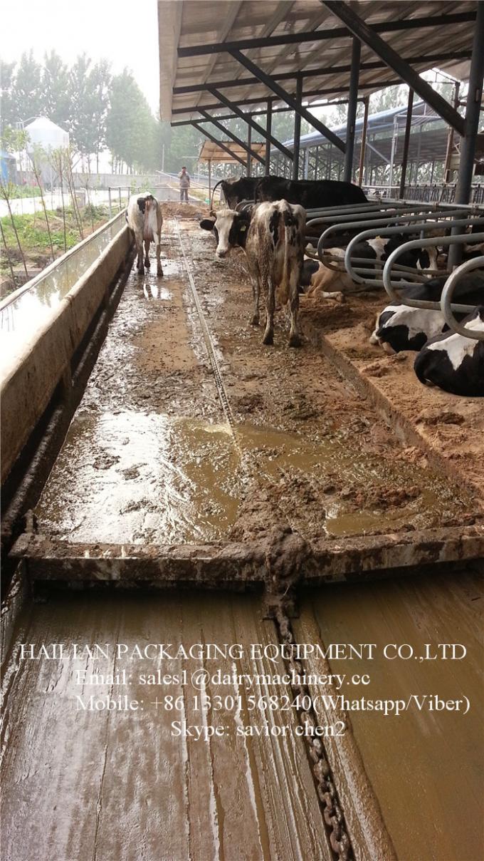 Automatic Dairy Farm Cow Manure Removal System With Siemens Control
