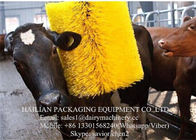 100W Nylon Body Cow Scratching Brush , Yellow Hanging Type Cattle Brush