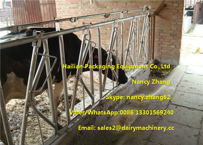 Farm Customized Cow Headlock / Cattle Feeding Panels Hot Dip Galvanizing Pipe