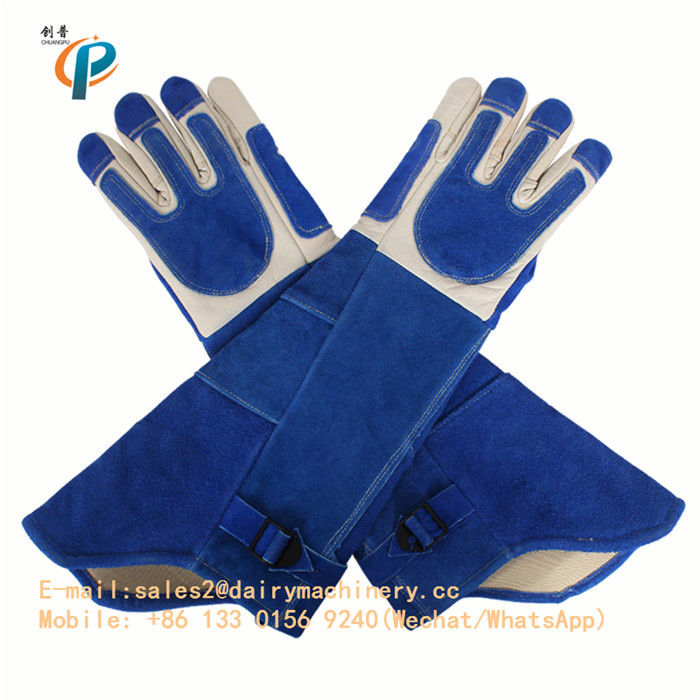 Blue Color Leather Animal Control Gloves , Animal Handling Gloves For Dog / Cat