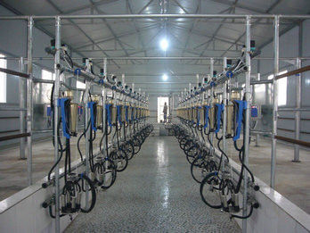 Hailian Packaging Equipment Co.,Ltd manufacturer production line