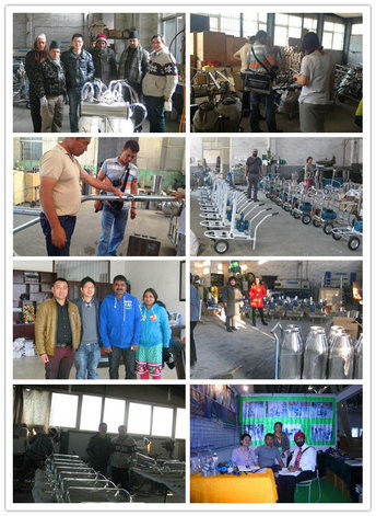 Hailian Packaging Equipment Co.,Ltd manufacturer production line