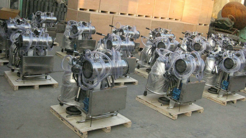 Hailian Packaging Equipment Co.,Ltd manufacturer production line