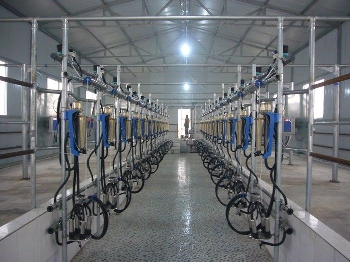 Hailian Packaging Equipment Co.,Ltd manufacturer production line