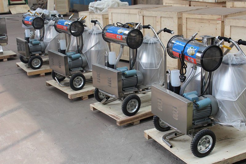 Hailian Packaging Equipment Co.,Ltd manufacturer production line