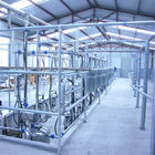 Automatic 4KW Herringbone Milking Parlor for Milking Cow and Milking Goat