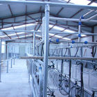 Automatic 4KW Herringbone Milking Parlor for Milking Cow and Milking Goat