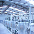 Automatic Glass Milk Measure Herringbone Milking Parlor System