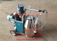 Single Cow Portable Piston Pump Dairy Milk Machine With Copper Wire Motor