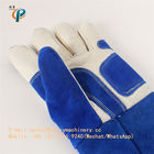 Blue Color Leather Animal Control Gloves , Animal Handling Gloves For Dog / Cat