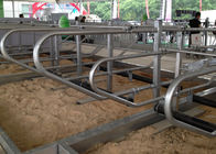 Durable Customized Bedding Cow Milking Stall With Double Row Type
