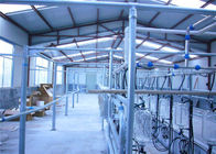 Large Scale Milking Parlor Equipment , Cows Parallel Milking Parlor