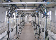Layout Compact Milking Equipment Herringbone Milking Parlor For Goat Farm