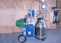 Small Single Cow Mobile Milking Machine With Dry Vacuum Pump , 0.55kw - 0.75kw