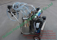 Two Inox Buckets Gasoline Vacuum Milking Equipment for Dairy Cattles Milking