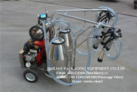 Surge Vacuum Mobile Milking Machine For Cow , Single / Double Bucket