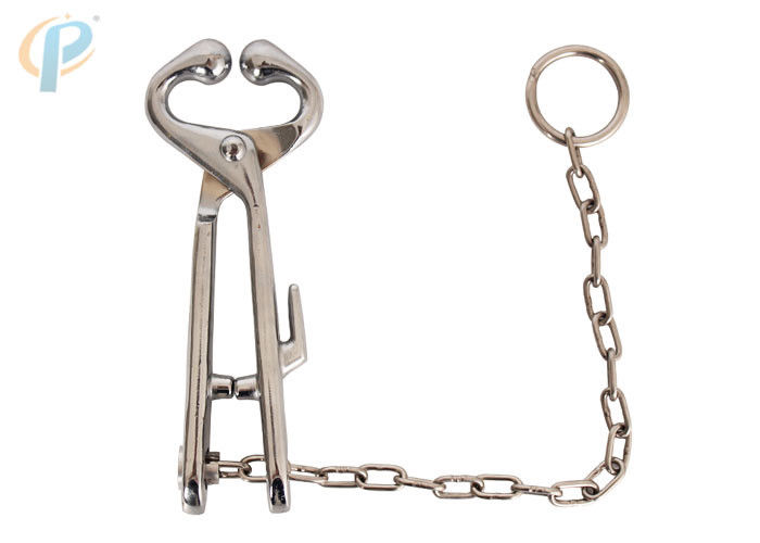 Bull Holders Bull Tongs Veterinary Tools And Equipment For Cow And Cattle With 35cm Chain