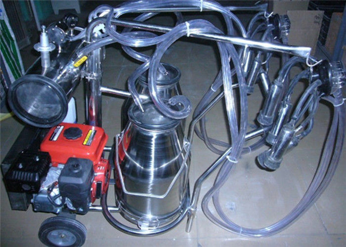 Trolley type Gasoline Engine Portable Cow Milking Machine For Farm