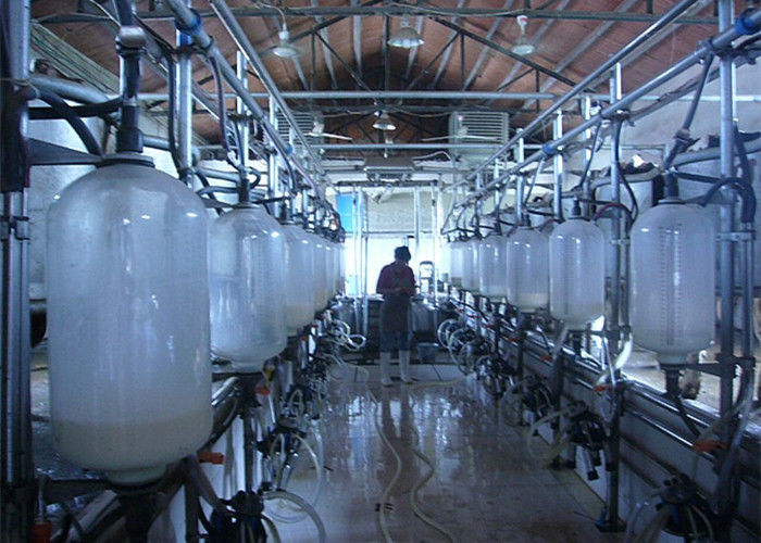 High Efficiency Cow Herringbone Milking Parlor With Glass Milk Meter