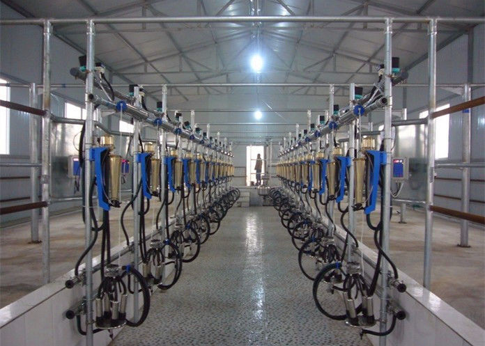 Parallel Quick-Release Automatic Milking Parlour  with Waikato Milk Flow Meter