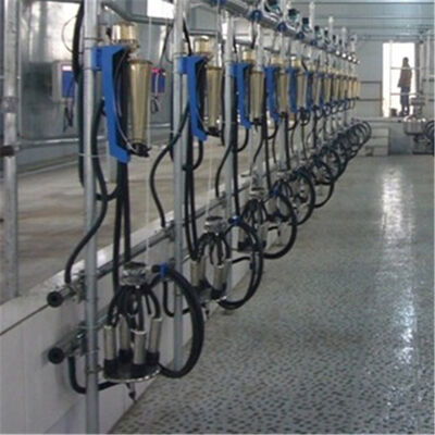 Automatic Milking Parlor with ACR and Waikato Milk Meter